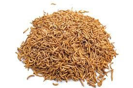 Quality Dried Mealworms | PLAN MULTIPLE COMMODITIES