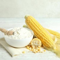 High-Quality Corn Flour – Perfect for Tortillas & Breads