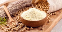 Creamy Soy Milk Powder – Dairy-Free Alternative Export