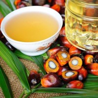 Refined Palm Cooking Oil | PLAN MULTIPLE COMMODITIES EXPORTER