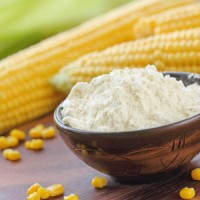 High-Quality Corn Flour – Perfect for Tortillas & Breads