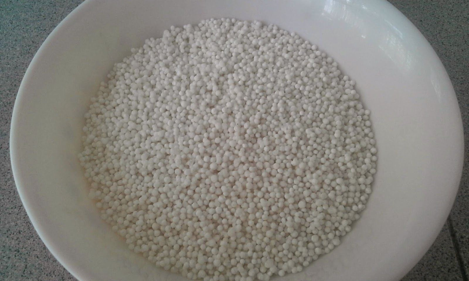 100% Pure Sago Seeds – Food & Industrial Grade