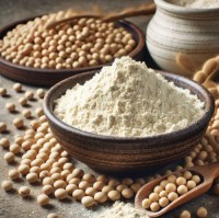 Refined Soybean Flour – Rich in Protein & Nutrients