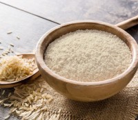 Rice Protein Powder – Plant-Based Protein for Nutrition & Supplements