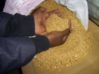 Natural Gold Dust – High Purity for Refining & Jewelry Use