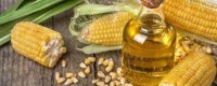 Pure Corn Cooking Oil – Reliable Global Supply